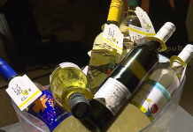 Pubec letos povezuje 19 štajerskih vinarjev