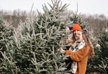 Podarite svojo smreko za praznično okrasitev