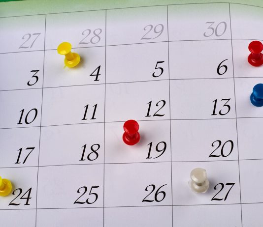 Predlog za nadomestne proste dneve ob praznikih