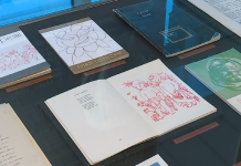 Dnevi Gabrijela Kolbiča v Šentilju