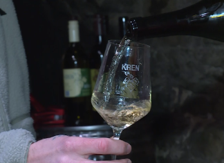 Pomlad v Svečini v znamenju vina: dan odprtih vrat vinskih kleti