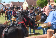 Žegnanje konj v Župečji vasi