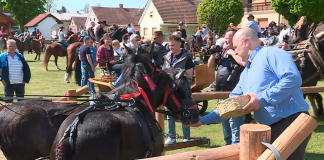 Žegnanje konj v Župečji vasi
