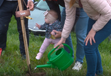 Ob dnevu Zemlje Občina Lendava s sajenjem medovitih dreves spodbuja trajnost in povezanost