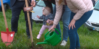 Ob dnevu Zemlje Občina Lendava s sajenjem medovitih dreves spodbuja trajnost in povezanost