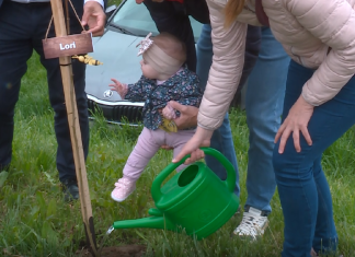 Ob dnevu Zemlje Občina Lendava s sajenjem medovitih dreves spodbuja trajnost in povezanost