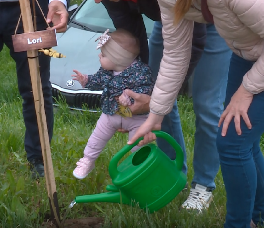 Ob dnevu Zemlje Občina Lendava s sajenjem medovitih dreves spodbuja trajnost in povezanost