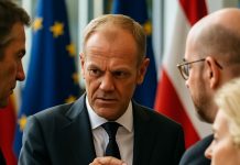 Evropa naj izbere pogajalca za morebitne pogovore z Rusijo Evropa naj izbere pogajalca za morebitne pogovore z Rusijo