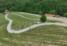 Kolesarski podvigi in srčna Kungota: DOS 2026 uspešno v prvo etapo