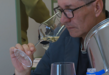 Šest desetletij neprekinjenega ocenjevanja vin v Mariboru