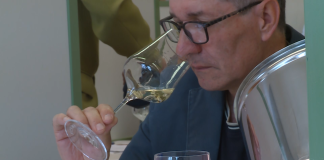 Šest desetletij neprekinjenega ocenjevanja vin v Mariboru