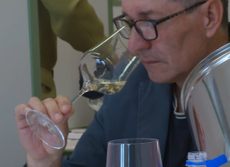 Šest desetletij neprekinjenega ocenjevanja vin v Mariboru