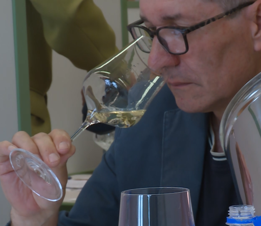 Šest desetletij neprekinjenega ocenjevanja vin v Mariboru