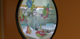 Pediatrična stroka poenotila nasvete za starše