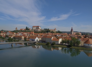 Tedni vseživljenjskega učenja