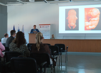Napredek v ginekologiji: Hitrejša diagnostika in prijaznejša obravnava nosečnic