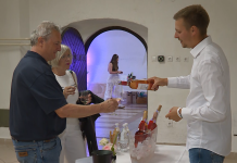 VinoGrad na svečinskem gradu z mladimi vinarji
