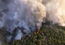 Delni preklic rdečega alarma: Kje v Sloveniji je požarna ogroženost preklicana?