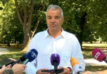 Posek kostanjev na Trubarjevi razburil Maribor