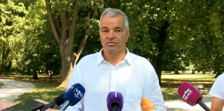 Posek kostanjev na Trubarjevi razburil Maribor