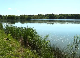 Občina načrtuje celovito ureditev območja Račkih ribnikov Občina načrtuje celovito ureditev območja Račkih ribnikov
