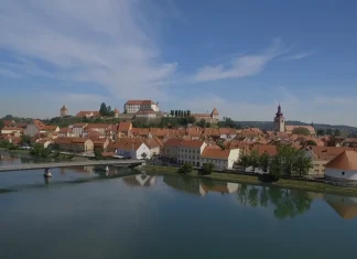 Ptuj letos pričakuje več prihodkov iz glob zaradi okrepljenega nadzora Ptuj letos pričakuje več prihodkov iz glob zaradi okrepljenega nadzora
