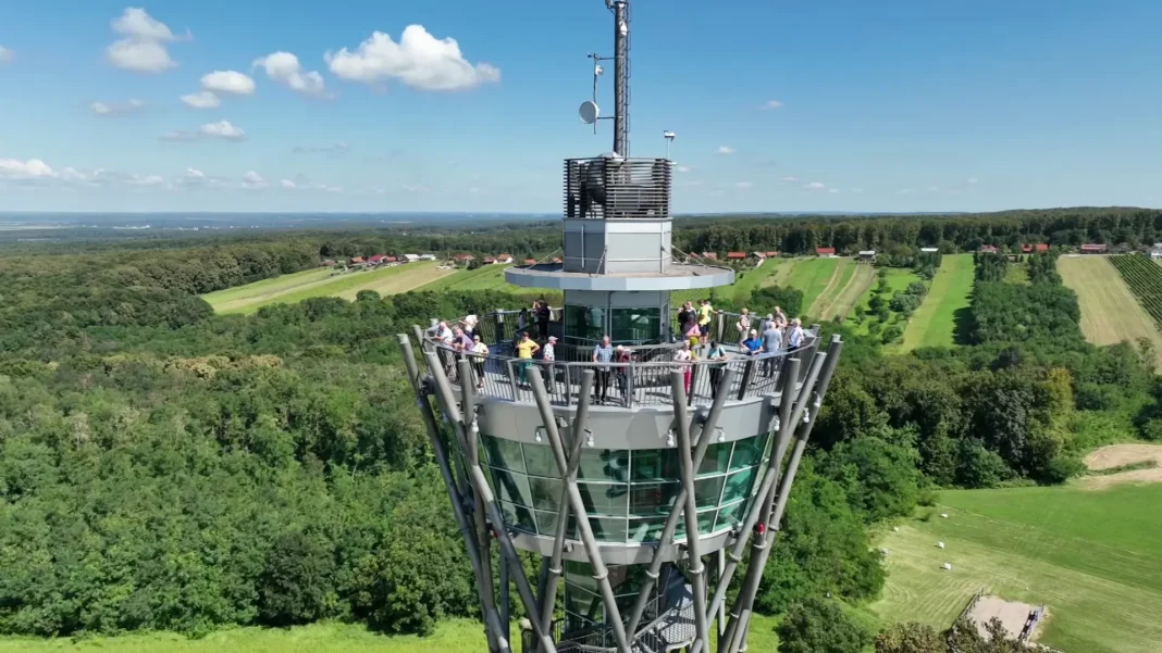 Vrhunec Festivala Vinarium: Stolp Vinarium praznoval 11 let