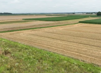 Kmetom pomoč zaradi zahtevne letine Župan: kmetijske zemlje ne damo tujcem, ampak domačinom